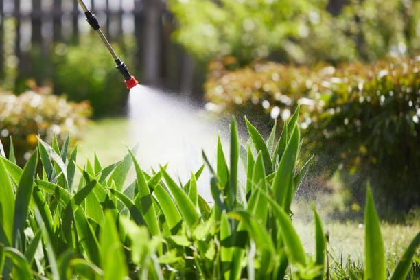 24/7 Emergency Mosquito Control experts in Winner, SD